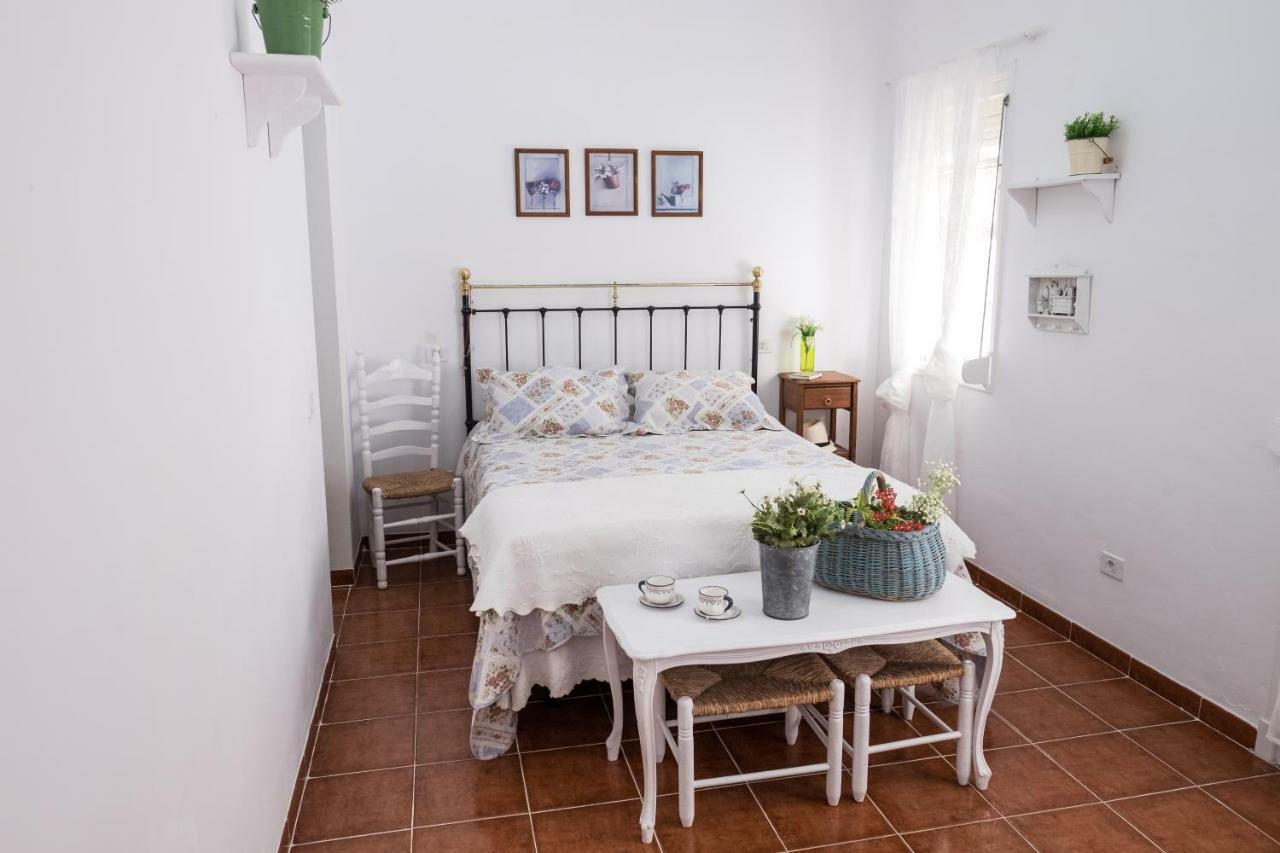 Casa Maria Cristina 3 Apartment Санта Крус де Тенерифе Екстериор снимка